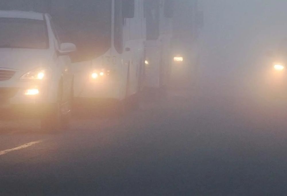How To Drive Safely In Fog
